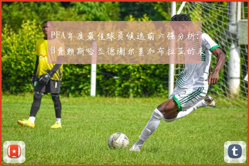 PFA年度最佳球员候选前六强分析：B费赖斯哈兰德谢尔基加布拉亚的表现对比